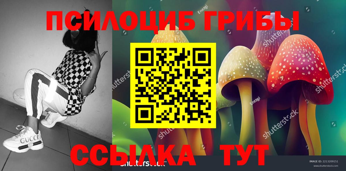 Галлюциногенные грибы ЛСД Губаха