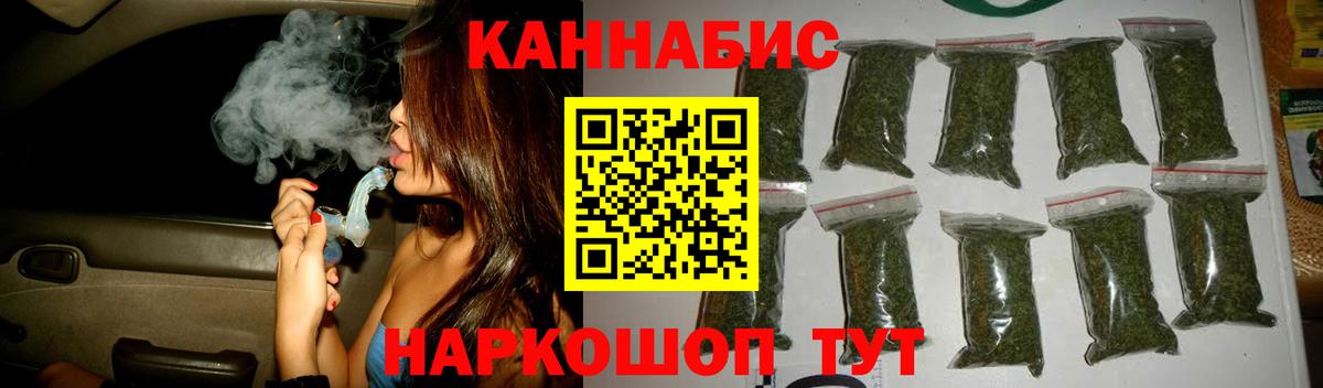 Конопля OG Kush Губаха